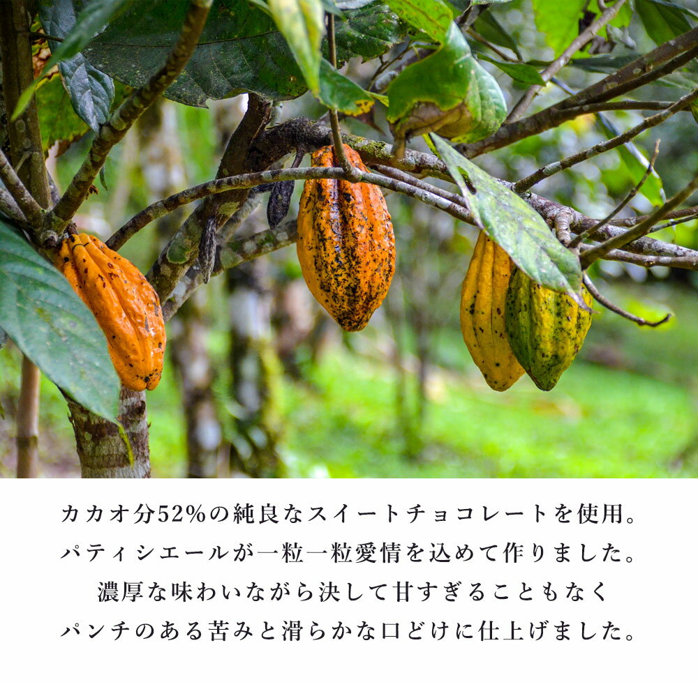 1��420�ߡ������֤��˺�Ŭ���Ȥ�������ɤ�ǻ�������祳��Motto(�����祳6γ����ˢ��ۥ磻�ȥǡ��ޤȤ��㤤�����ڡ���20�İʾ����������̵��