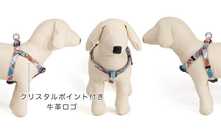 SS�����å� ­����ϡ��ͥ� 25mm�����ʼ�ޤ�ꡧ50��75cm��ƹ�ޤ�ꡧ54��84cm��