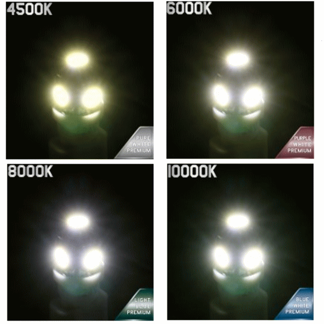 ��LED5 �����å��Х�֡�24V�� T10������ 5ϢSMD���͡�8000k