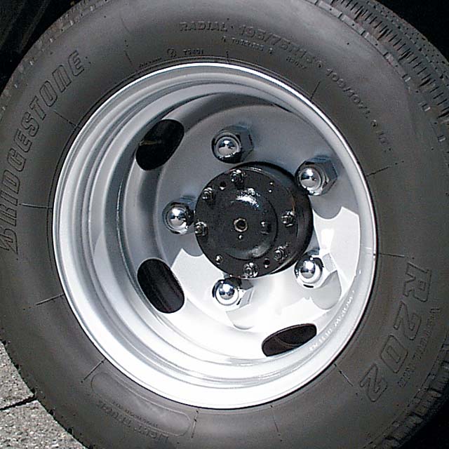 �ڥǥ�����åס���41mm��6�����ꡡ�ꥢ��