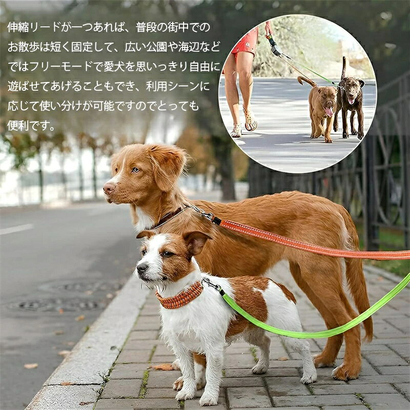 犬 リード 2頭引き 2匹 犬用 2頭 二匹 伸縮 LEDライト リード いぬ 2頭用 引き紐 ...