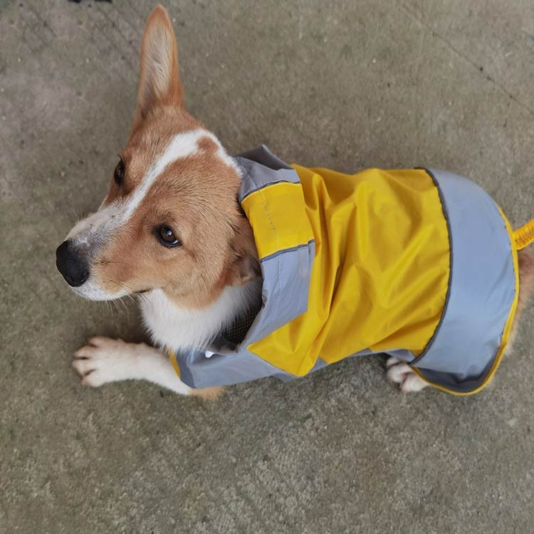 犬用のレインコート。オールシーズ、多くの犬種サイズに対応した6サイズ展開のレインコートです。脱着が簡単!着せやすい生地。撥水・防水機能も抜群!見えないリード用ホールは簡単にリードを付けられます。脱げにくいけど着脱しやすく、走り回ってもズレない、動きもしやすいので、犬のレインコート(合羽)として最適です。雨の日のお散歩だけでなく、海辺や海岸、公園での遊び、雪の日の運動にも役立つ犬用のレインコートです。 サイズ6号 7号 8号 9号 10号 12号サイズについての説明【6号】背丈40cm 頸囲37cm バスト60cm 体重7.5-10kg【7号】背丈48cm 頸囲42cm バスト68cm 体重10-15kg【8号】背丈53cm 頸囲44cm バスト72cm 体重15-20kg【9号】背丈55cm 頸囲48cm バスト77cm 体重20-25kg【10号】背丈60cm 頸囲52cm バスト84cm 体重25-30kg【12号】背丈70cm 頸囲64cm バスト97cm 体重30-40kg※サイズ計測には誤差が生じます。素材ポリエステル色イエロ ブルー オレンジ備考サイズ詳細等の測り方はスタッフ間で統一、徹底はしておりますが、実寸は商品によって若干の誤差(1cm〜3cm )がある場合がございますので、予めご了承ください。商品の色は、撮影時の光や、お客様のモニターの色具合などにより、実際の商品と異なる場合がございます。あらかじめ、ご了承ください。▼色味の強い製品によっては他の衣類などに色移りする場合もございますので、速やかに(脱水、乾燥等)するようにお願いいたします。▼▼生地の特性上、やや匂いが強く感じられるものもございます。数日のご使用や陰干しなどで気になる匂いはほとんど感じられなくなります。犬の服 雨合羽 雨具 大型犬 中型犬 ペット ペットグッズ 早い者勝ち イエロ ブルー オレンジ 6号 7号 8号 9号 10号 12号