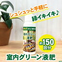 室内グリーン液肥30g(水100mlに薄めて約150回分)観葉植物液肥肥料【お試し送料無料】