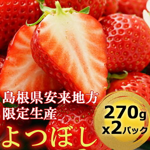 【スーパーセール ポイント20倍】島根県　安来市産　2L サイズ よつぼし 【イチゴ】 【いちご】 【苺】　【送料無料】2パック　東北・北海道・沖縄へは送れません。