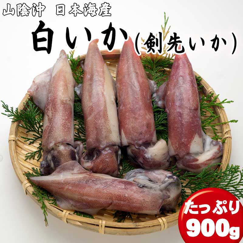 送料無料 白いか 900g 【4～5杯】 天然 冷凍 ケンサキ...