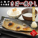 単品 開きサバ 干物 1枚 薄塩 お取り寄せグルメ 山陰沖日本海産(鳥取県・島根県産) 【 お礼 お祝い 】