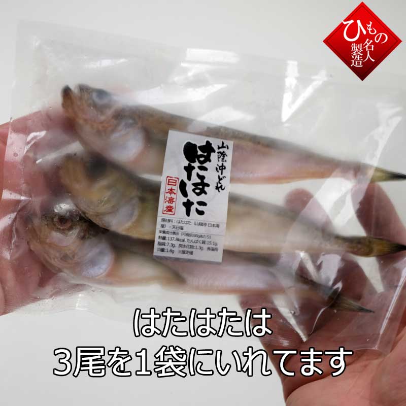 はたはた（白はた） 干物（単品） 山陰沖日本海産（鳥取県・島根県産）【 お礼 】【 お祝い 】