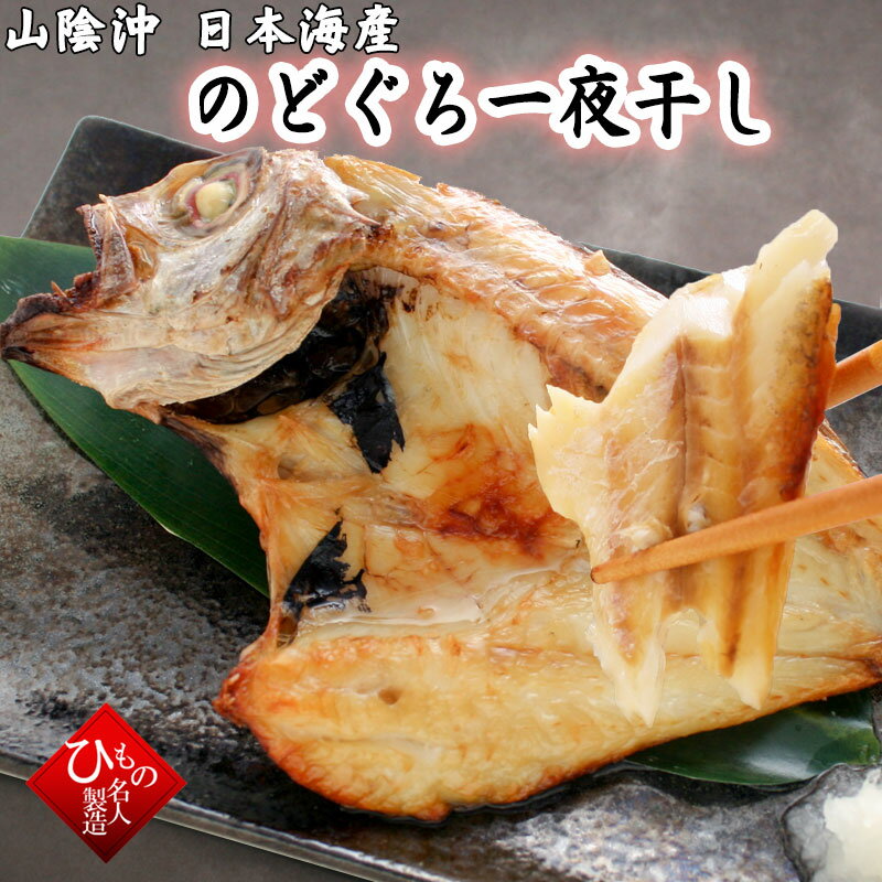 高品質 ふるさと納税 新温泉町 美味い 脂の乗った浜坂産一夜干しハタハタ食べ切りサイズの500g materialworldblog.com 高品質 ふるさと納税 新温泉町 美味い 脂の乗った浜坂産一夜干しハタハタ食べ切りサイズの500g materialworldblog.com