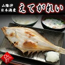 単品 えてかれい 干物 1尾 宗八カレイ お取り寄せグルメ ひもの 山陰沖日本海産(鳥取県・島根県産)【 お礼 】【 お祝い 】