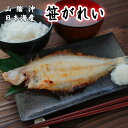 単品 笹かれい 干物 1尾 140g(やなぎかれい) 山陰沖日本海産(鳥取県・島根県産)【 お礼 】【 お祝い 】