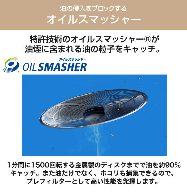 【エントリー後購入で通常P1倍+特典P9倍!GET】ダイニチ H060523 カンタン替えフィルター 2コ