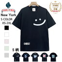 Tシャツ 半袖 EU製 FRANKLIN MUSK アメリカ ニューヨーク発 薄手 通気 吸汗 個性 超人気 スウェット カットソー プルオーバー 笑顔 夏服 ...