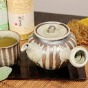 【今だけ限定10%OFFクーポン配布中】信楽焼 急須 土もの急須 陶器 やきもの 信楽 ティーポット 食器 土瓶 器 焼き物 ポット しがらき うつわ 萌黄スト...