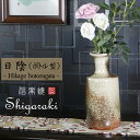 【10%OFFクーポン配布中】信楽焼 日陰(ボトル型)花瓶 おしゃれ 陶器 一輪挿し 陶器 花器 花入れ インテリア 花瓶 焼き物 ha-9029(3)