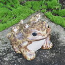 信楽焼 8号蛙 縁起物カエル 陶器蛙 やきもの 陶器 しがらきやき 蛙 陶器かえる 信楽焼カエル かえる 庭 カエル やきもの 金運 しがらき 六匹蛙 ka-0049