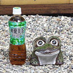 信楽焼き丸目蛙ミニ！縁起物カエル/お庭に玄関先に陶器蛙！やきもの/陶器/しがらきやき/蛙/陶器かえる/信楽焼カエル/[ka-0036]