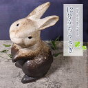 【今だけ限定10%OFFクーポン配布中】信楽焼 うさぎ 置物 玄関 かわいい 大きい 陶器 ウサギ 兎 縁起物 焼き物 信楽焼き 庭 庭園用置物 可愛い ギフト お祝い 置き物 12号立ちうさぎ ok-0093