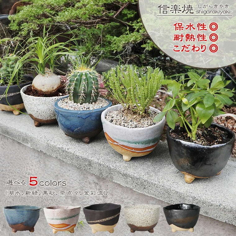 楽天市場】脚 付き 鉢(サイズ(植木鉢)4 ~ 6号)の通販 楽天市場】脚 付き 鉢(サイズ(植木鉢)4 ~ 6号)の通販