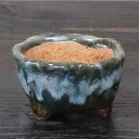 【8月1日限定11%OFFクーポン】山草鉢 手作りの陶器植木鉢 山野草鉢 信楽焼 山草 鉢 しがらき 陶器鉢 植木 やきもの 信楽焼鉢 手づくり 多肉植物 塊根...