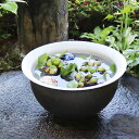 すいれん鉢 信楽焼すいれん鉢 メダカ鉢 金魚鉢 睡蓮鉢 陶器スイレン鉢 ハス鉢 はす鉢 めだか鉢 鉢 陶器 水連鉢 水鉢 信楽焼き睡蓮鉢 手水鉢 陶器鉢 ガーデ...
