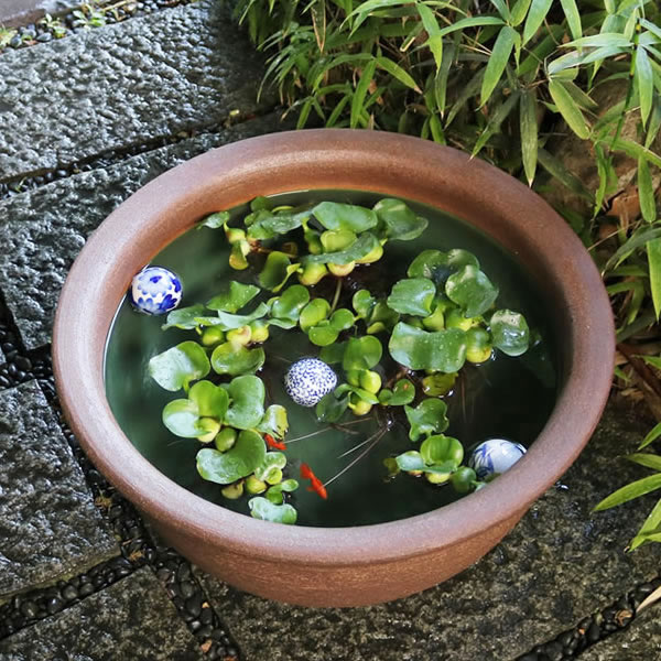 スイレン鉢 大型 陶器水鉢 信楽焼 水鉢 鉢 金魚鉢 めだか鉢 すいれん鉢 メダカ鉢 ハス鉢 大きい鉢 しがらき 睡蓮鉢 和風 20号ケズリ鈴型水鉢 ［su-0046］