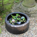 すいれん鉢 信楽焼すいれん鉢 メダカ鉢、 金魚鉢にも最適 睡蓮鉢 陶器スイレン鉢 ハス鉢 はす鉢 めだか鉢 鉢 陶器 水連鉢 水鉢 信楽焼き睡蓮鉢 手水鉢 陶器...