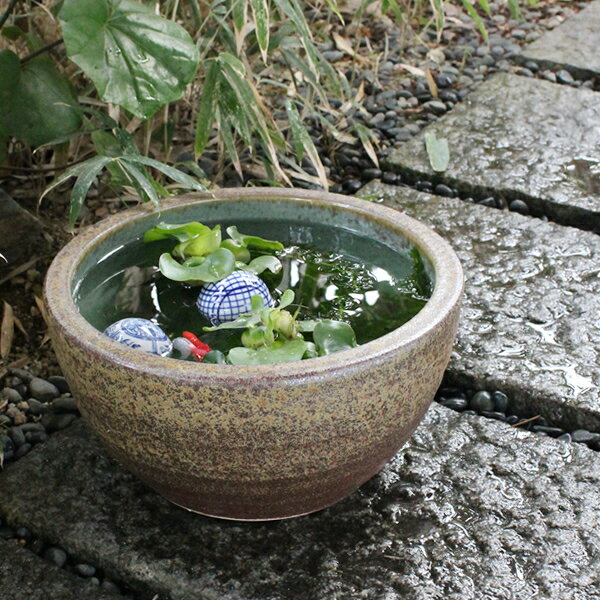 楽天市場】睡蓮鉢 10号の通販 楽天市場】睡蓮鉢 10号の通販