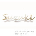 表札 ステンレス 切り文字 サイズも変えられる デザイン 戸建 おしゃれ シャンパンゴールド かわいい 【シーゴー sus1】 二世帯 機能門柱 取り付け ローマ字 漢字 35種 シンプル サイズ変更可 2色 アイアン風 アルファベット 多様な取り付け方法 新居