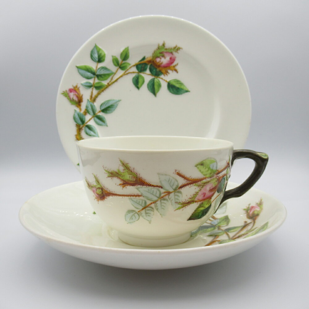 アンティーク トリオ ティーカップ&ソーサー Royal Worcester ロイヤルウースター 1885年頃 ヴィンテージ 食器 陶磁器 キッチン雑貨 テーブルウェア ティ—セット 茶器のサムネイル