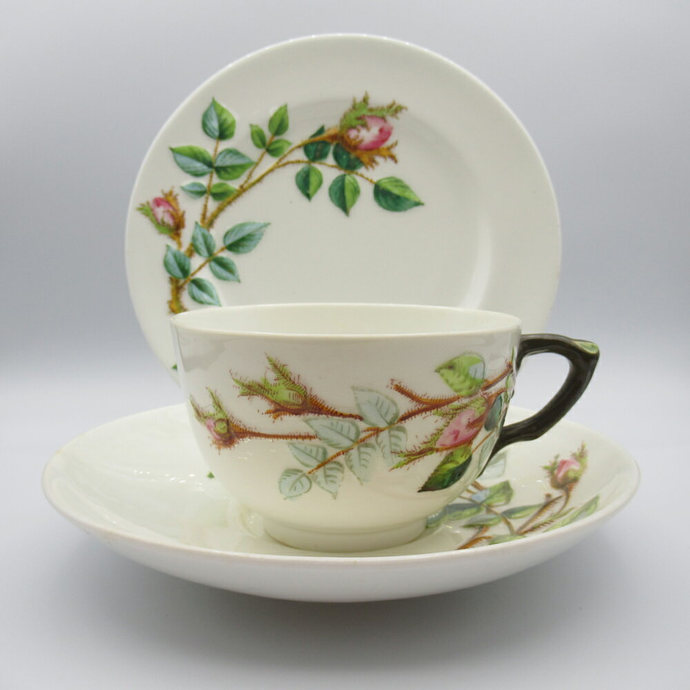 アンティーク トリオ ティーカップ&ソーサー Royal Worcester ロイヤルウースター 1885年頃 ヴィンテージ 食器 陶磁器 キッチン雑貨 テーブルウェア ティ—セット 茶器