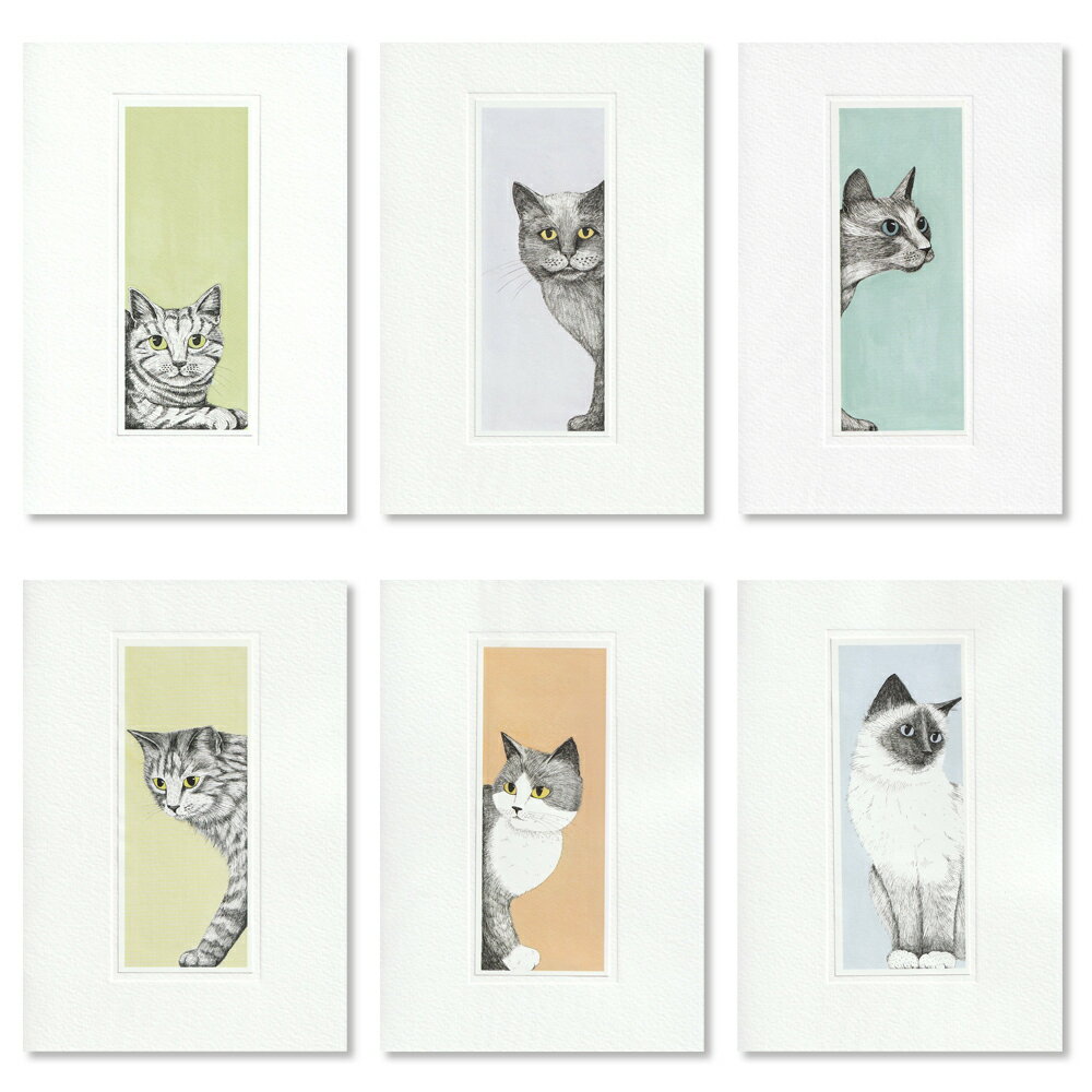 英国製 グリーティングカード 封筒つき 猫 Kate Mawdsley 輸入 ステーショナリー 文房具 手紙 多目的 ..