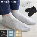 日本製 和紙 メッシュ 靴下 / 約22.5-25cm レディース ソックス 消臭 抗菌 消臭靴下 梅炭抄繊糸 梅炭 蒸れない 臭わない クルーソックス くるぶ...