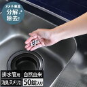10%OFF 日本製 排水管用 ヌメリ 洗浄剤 消臭 50錠入 / 自然 天然 化学薬品不使用 ヌメリと臭いを分解 簡単 BB菌 排水管洗浄剤 洗浄 パイプ洗浄...