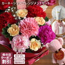【今だけ620円OFFクーポン】ポイント10倍 母の日 ギフト プレゼント カーネーション アレンジメント & UVガーゼマフラー or ハンドクリーム or ...