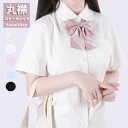 スクールシャツ 女子 半袖 丸襟 学生服 シャツ 女子制服 スクールブラウス 形態安定 スクール シャツ 高校生 制服 ブラウス 中学生 高校生 レディース ブ...
