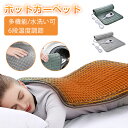 ホットカーペット 電気毛布 電熱毛布 電熱カーペット 冬用暖房器具 加熱パッド ヒーティングパッド 暖房毛布 多機能加熱 6 段温度調節機能 2色展開 温熱パッ...