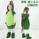 部分現物 ハロウィン コスプレ 衣装 子供 恐竜 着ぐるみ 動物服 サンタ服 女の子 男の子 キッズ おもしろ 赤ちゃん ハロウィンコスチューム コスプレ仮装 子供用 こども衣装 クリスマスパーティー 変装 仮装 帽子付き 学園祭 文化祭 記念写真 クリスマス ハロウィン