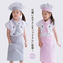 コスプレ コックさん コスチューム キッズ 子供 シェフ 料理人 お菓子職人 変身 なりきり 快適 通気性 児童用 ハロウィン 衣装 男子 女子 変装 コック帽付き 子供 エプロン 可愛い 仮装 保育園 幼稚園 演出服 イベント 発表会 パーティー 男女兼用(3)
