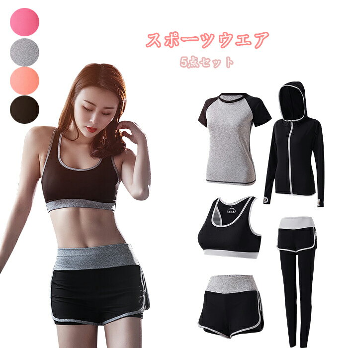 ݡĥ ǥ 襬 ȥ졼˥󥰥 ˥󥰥 5å 岼å4color  ѡ ȾµT...