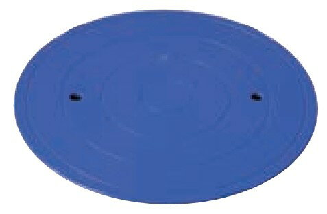 樹脂製 カメ板（2枚セット）φ250mm 電動ろくろRK-5T用 KE-62