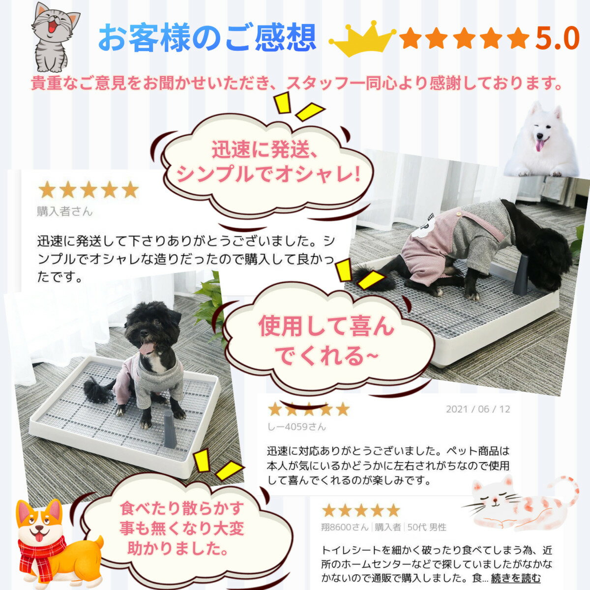 【半額  スーパーセール】【あす楽対応】犬トイレ ホワイト Lサイズ しつけ用 犬トイレトレー トレーニング マーキングポールつき 大型犬 小型犬 仔犬 兼用 足上げ 犬用トイレ 組み立て簡単 お掃除楽 メッシュ付き 送料無料（※北海道 沖縄 離島を除く）