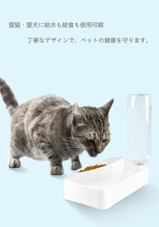 サンプル画像3