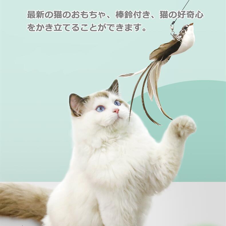 サンプル画像2