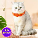 【赤字覚悟10%OFF】猫用首輪 猫首輪 猫 子猫 ネコ 首輪 猫首輪 安全 軽量 ペット用首輪 かわいい 柔らかいので 首や被毛に負担がかからない ソフト サイズ調節可能 送料無料（※北海道 沖縄 離島を除く）日本郵便はお届け日時を指定できません