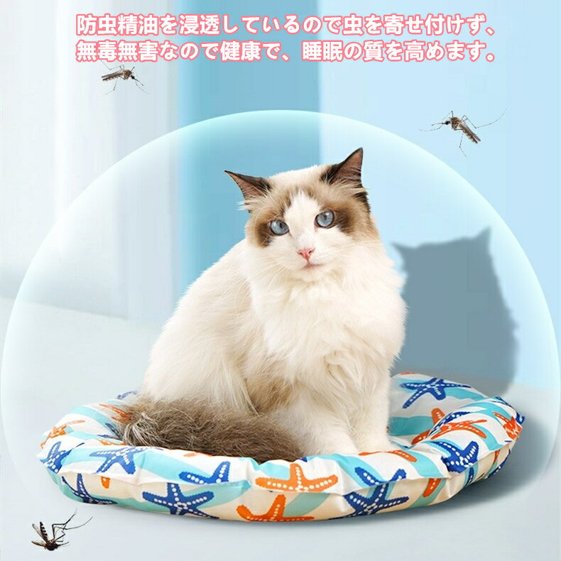 サンプル画像2