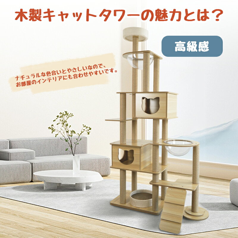 �ڸ���15��OFF�ۡڥ�ӥ塼��ŵ�ޥå��դ��ۥ���åȥ�� ǭ��� ����åȥ�������֤� ����åȥ�� ���� �緿ǭ ������ ��鴶 ������� ����ץ� ����������ɼ� ��ɳ �������� ¿Ƭ���� �ͤ������դ� ����åȥ��� �ʺ����� �Ȥ�Ω�ƴ�ñ