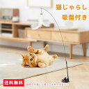 【赤字覚悟で1000円ポッキリ 送料無料】猫おもちゃ 吸盤式 自動 猫じゃらし ねこ おもちゃ 猫オモチャ 天然鳥の羽 棒鈴付き 弾性 子猫のおもちゃ 人気 一...