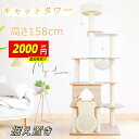 【最安挑戦!限定2000円クーポン】【レビュー特典マット付き】【楽天1位受賞】キャットタワー 猫タワー キャットタワー 大型猫 キャットタワー木製 キャットタワ...