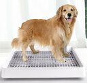 【限定10%OFF】 犬 トイレ しつけ用 犬用トイレ 犬トイレトレー Lサイズ Sサイズ ステップトレー トレーニング マーキングポールつき 中型犬 小型犬 仔犬 兼用 足上げ 組み立て簡単 お掃除簡単 メッシュ付き 39*31cm