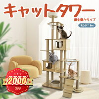 【限定2000円OFF】キャットタワー 猫タワー キャットタワー据え置き キャットタワ...